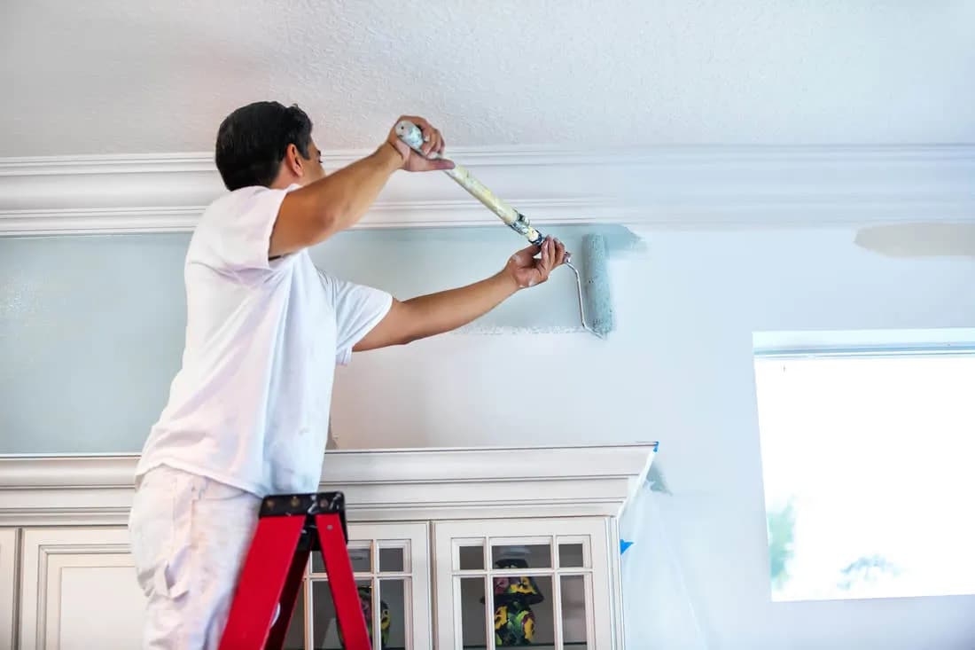 Painting Services project